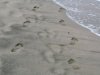 Стъпки в пясъка