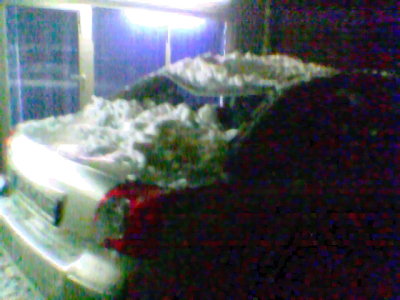 Сняг 2008 - топене
